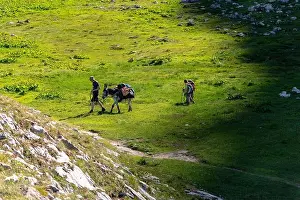 Donkey Prints: France, Savoie, Champagny-le-Haut