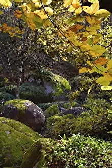 Occitanie Prints: France, Tarn, Sidobre region, Chaos de la Rouquette, The rock formations in autumn