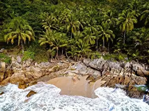 Blue Girl Prints: Freedom beach Phuket Thailand, aerial drone view at a tropical beach with palm trees in Phuket Thailand