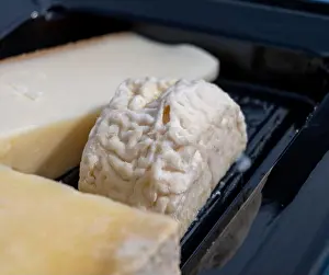 Mold Prints: French cheeses collection, degustation plate