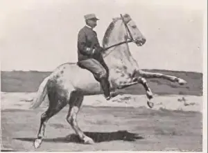 Old Image Prints: The French rider of the Cadre Noir Etienne Beudant
