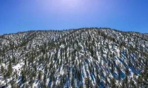 A fresh blanket of snow brings a new version of beauty to the Southern Californian mountains