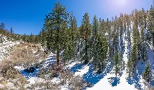 Big Bear Prints: A fresh blanket of snow brings a new version of beauty to the Southern Californian mountains