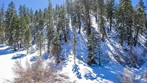 Big Bear Prints: A fresh blanket of snow brings a new version of beauty to the Southern Californian mountains