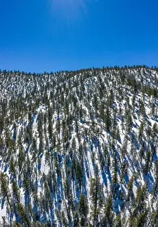A fresh blanket of snow brings a new version of beauty to the Southern Californian mountains