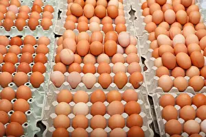 Arranged Prints: Fresh eggs, free-range eggs in an egg carton on a market stall, Bremen, Germany