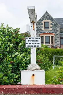 Scots Prints: A Fresh Free Range Eggs sign with an honesty box outside a house in the Outer Hebrides