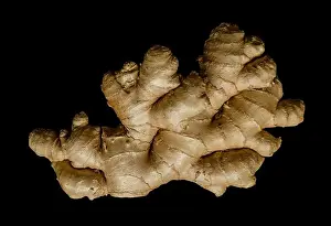 Fleshy Prints: Fresh ginger root, from above on black background