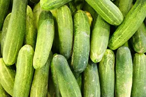 Health Food Prints: Fresh green cucumber collection outdoor