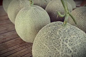 Watermelon Prints: Fresh Green large Melons in the market, a lot of melons. large green fruit