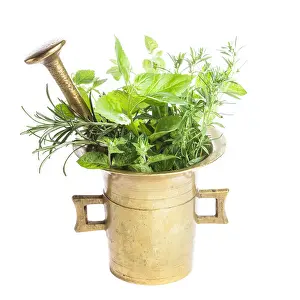 Grinder Prints: Fresh herbs in the copper mortar on the table
