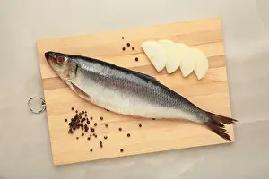 White Sea Prints: Fresh herring fish on cutting board on grey background. Top view
