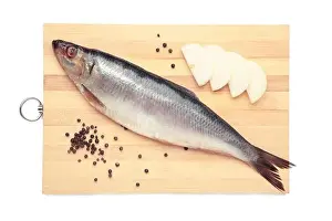 White Sea Prints: Fresh herring fish isolated on white background. Top view