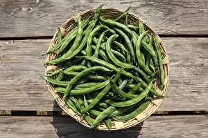 Pods Prints: Fresh Indian vegetable Valor beans or hyacinth beans known as Val papdi beans