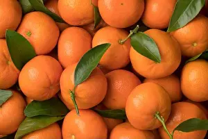 Tangerine Prints: Fresh mandarin fruit with leaves close up full frame