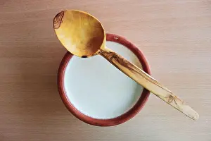 Calcium Prints: Fresh organic homemade yogurt and fresh mint