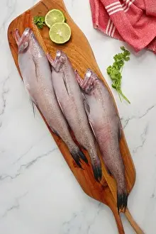 Fresh sea fish Bombay duck or Bombil and ingredients for cooking, green coriander, curry leaves, and garlic. marble background top view. Copy space