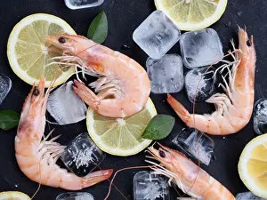 Chill Prints: Fresh shrimps with rosemary or basil spices