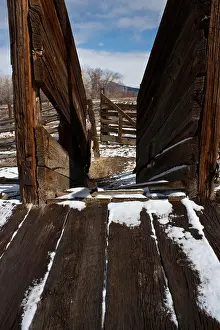 Snowstorm Prints: Detail of fresh snow on and old cattle chute