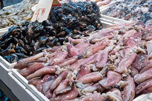 Shellfish Prints: Fresh squids and mussels lying on ice counter at seafood market in Athens