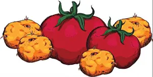 Potatoes Prints: fresh tomato with potatoes vegetarian food vector illustration design