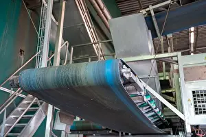 Belt Prints: Fresh vegetables processing equipment after harvesting