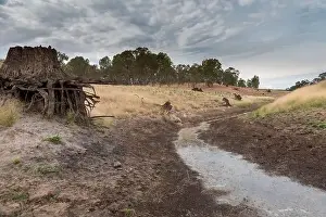 A fresh water reservoir feeder creek running dry due to the drought in Australia