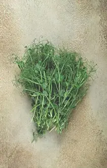 Vibrant Color Prints: Freshly harvested pea shoots arranged in a heart shape against a textured background