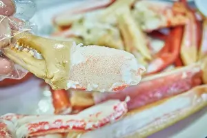Korea Prints: Freshly steamed winter snow crab feast with thick claw meat extracted by a gloved hand Highlights authentic premium