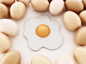 Yolk Prints: Fried egg and raw eggs isolated on white background. 3D illustration