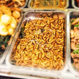 Stockimo Prints: Fried silk worm pupae in Hanoi, Vietnam