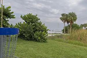 Beachfront Prints: Frisbee Golf Net Picnic Island Park City of Tampa Bay Florida USA