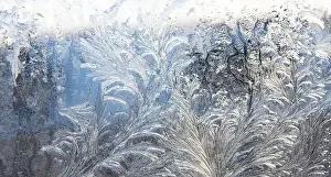 Crystallization Prints: frost pattern on a window glass in the winter (as an abstract winter background)