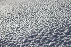 Snowfall Prints: Frosted swno pattern
