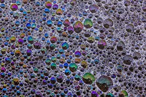 Reflecting Prints: Froth and bubbles of air reflecting rainbow colours on the surface at Cannon Beach Oregon USA Astoria Oregon USA