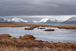 Vastness Prints: Over a frozen lake with reddish grass