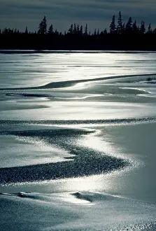 Prairies Prints: Frozen taiga lake, northern Manitoba, Canada