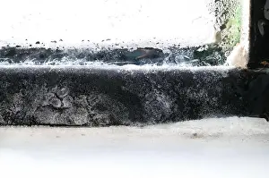 Trouble Prints: Frozen window frame condensation inside