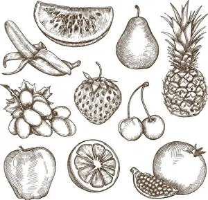 Watermelon Prints: Fruit, sketches, hand drawing, vector set