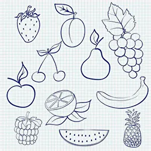 Watermelon Prints: Fruits and berries. Blue outline sketch on lined paper background