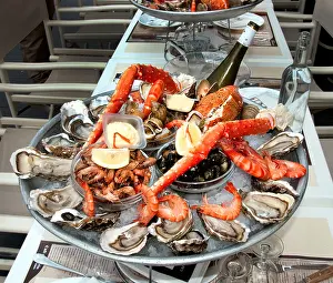 French Riviera Prints: Fruits de mer French seafood Oysters Shrimp Lobster Periwinkle Crab Prawns Langoustine Mussels Scallops Clams