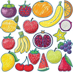Eps10 Prints: Fruits in Pencil Colour Sketch Simple Style illustration