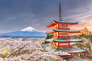 Fujiyoshida, Japan view of Mt. Fuji and pagoda in spring season with cherry blossoms at dusk
