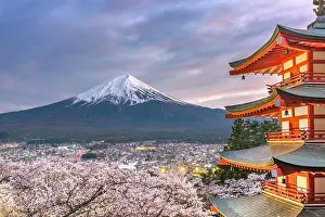 Fujiyoshida, Japan view of Mt. Fuji and pagoda in spring season with cherry blossoms at dusk