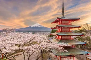 Fujiyoshida, Japan view of Mt. Fuji and pagoda in spring season with cherry blossoms at dusk