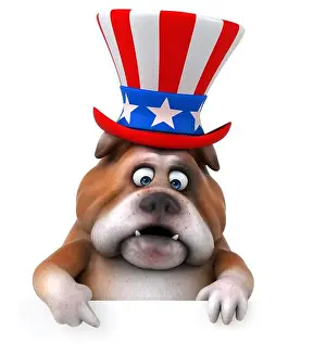 Bulldog Prints: Fun 3D cartoon bulldog with an uncle sam hat