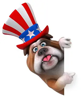 Jumbo Prints: Fun 3D cartoon bulldog with an uncle sam hat