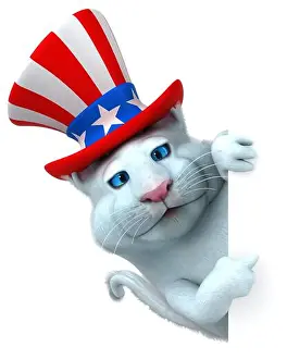 Jumbo Prints: Fun 3D cartoon cat with an uncle sam hat