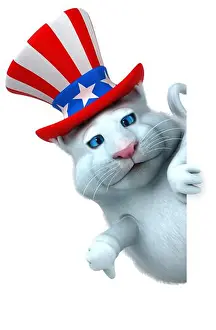 Jumbo Prints: Fun 3D cartoon cat with an uncle sam hat