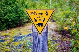 Yield Prints: Fun yield to bears sign warning on trail in Alaska
